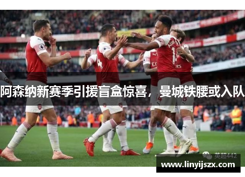 阿森纳新赛季引援盲盒惊喜，曼城铁腰或入队